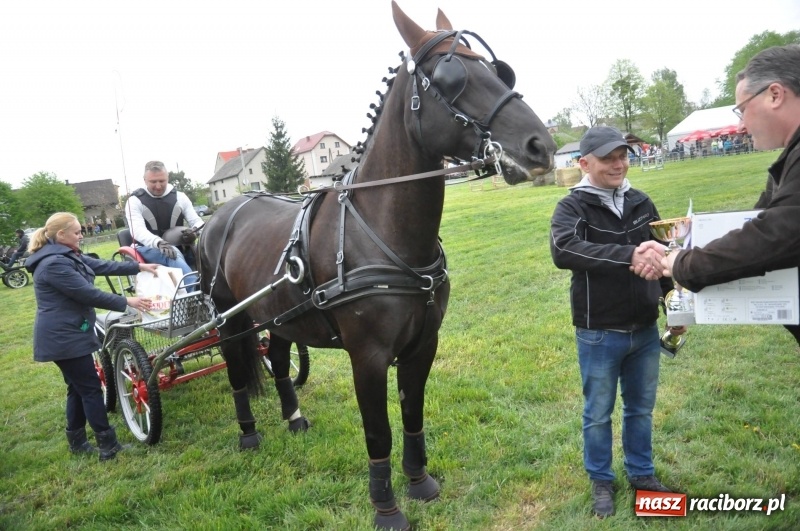 Zdjęcie w galerii na portalu naszraciborz.pl: Widowiskowa rywalizacja w powożeniu na kornickiej majówce [FOTO i WIDEO] wiadomości z regionu