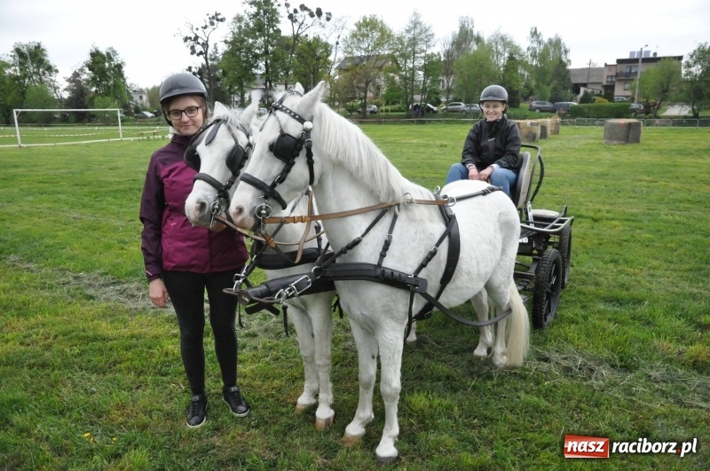 Zdjęcie w galerii na portalu naszraciborz.pl: Widowiskowa rywalizacja w powożeniu na kornickiej majówce [FOTO i WIDEO] wiadomości z regionu