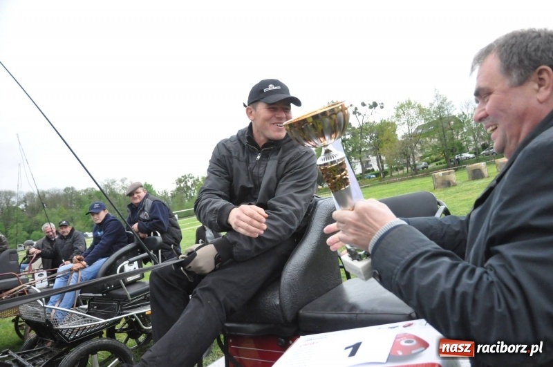 Zdjęcie w galerii na portalu naszraciborz.pl: Widowiskowa rywalizacja w powożeniu na kornickiej majówce [FOTO i WIDEO] wiadomości z regionu