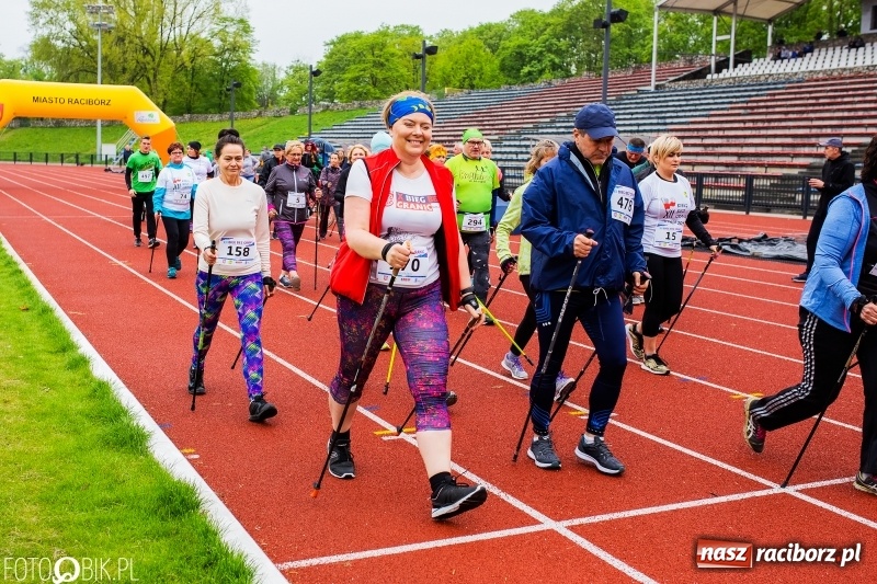 Zdjęcie w galerii na portalu naszraciborz.pl: Raciborski Bieg bez Granic [FOTO i WIDEO]  wiadomości z regionu