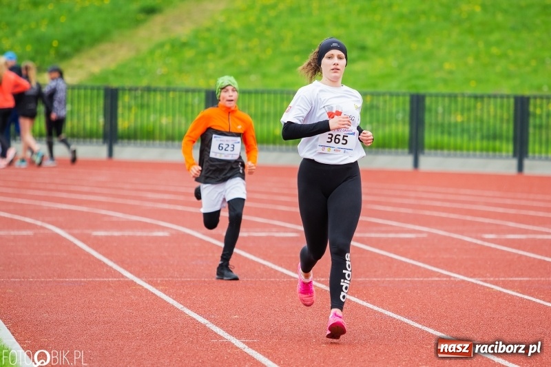 Zdjęcie w galerii na portalu naszraciborz.pl: Raciborski Bieg bez Granic [FOTO i WIDEO]  wiadomości z regionu