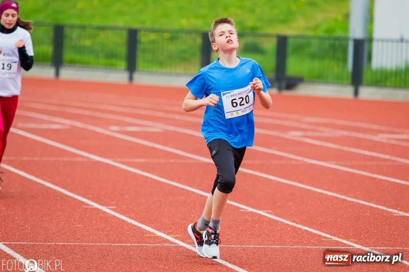 Zdjęcie w galerii na portalu naszraciborz.pl: Raciborski Bieg bez Granic [FOTO i WIDEO]  wiadomości z regionu