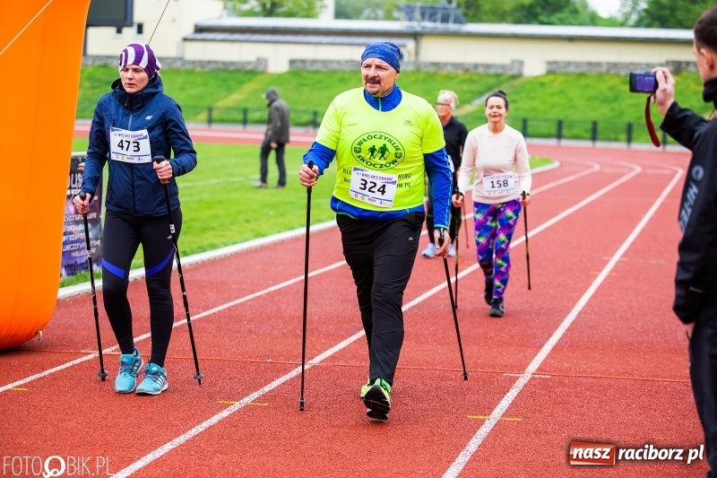 Zdjęcie w galerii na portalu naszraciborz.pl: Raciborski Bieg bez Granic [FOTO i WIDEO]  wiadomości z regionu