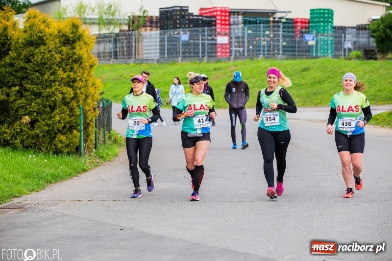Zdjęcie w galerii na portalu naszraciborz.pl: Raciborski Bieg bez Granic [FOTO i WIDEO]  wiadomości z regionu