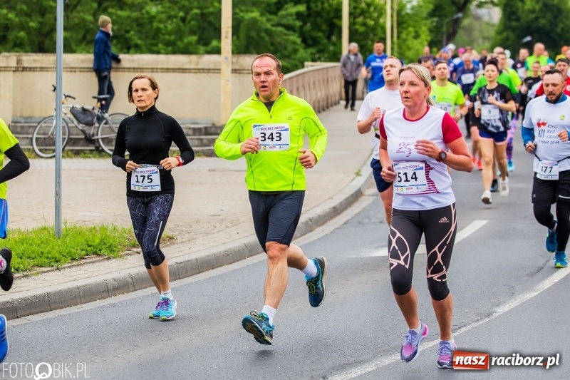 Zdjęcie w galerii na portalu naszraciborz.pl: Raciborski Bieg bez Granic [FOTO i WIDEO]  wiadomości z regionu