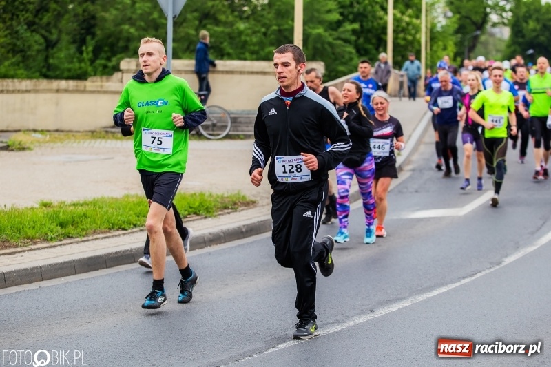 Zdjęcie w galerii na portalu naszraciborz.pl: Raciborski Bieg bez Granic [FOTO i WIDEO]  wiadomości z regionu