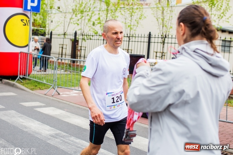 Zdjęcie w galerii na portalu naszraciborz.pl: Raciborski Bieg bez Granic [FOTO i WIDEO]  wiadomości z regionu