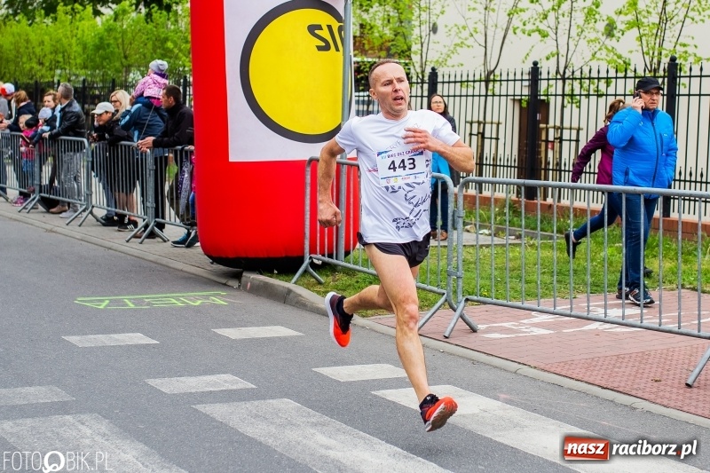 Zdjęcie w galerii na portalu naszraciborz.pl: Raciborski Bieg bez Granic [FOTO i WIDEO]  wiadomości z regionu