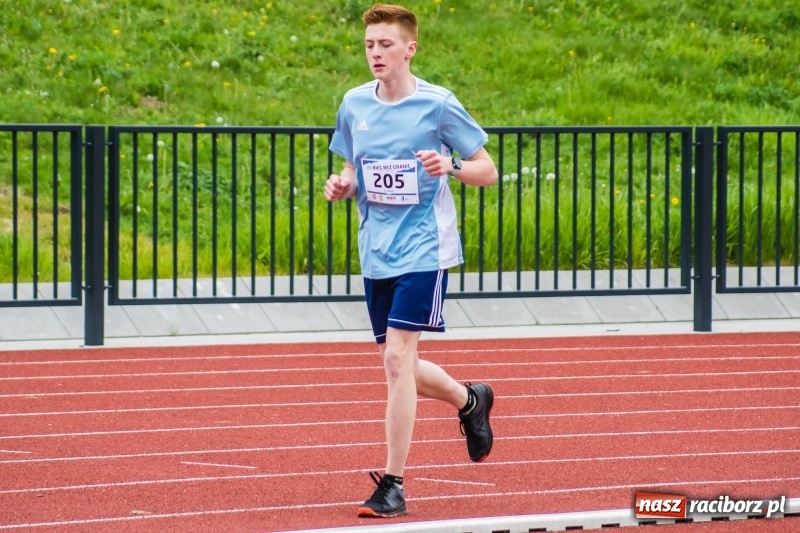 Zdjęcie w galerii na portalu naszraciborz.pl: Raciborski Bieg bez Granic [FOTO i WIDEO]  wiadomości z regionu