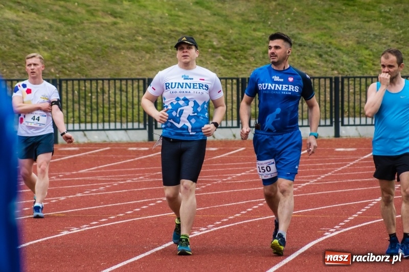 Zdjęcie w galerii na portalu naszraciborz.pl: Raciborski Bieg bez Granic [FOTO i WIDEO]  wiadomości z regionu
