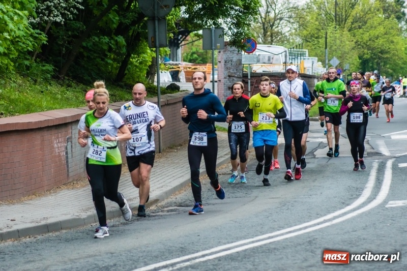 Zdjęcie w galerii na portalu naszraciborz.pl: Raciborski Bieg bez Granic [FOTO i WIDEO]  wiadomości z regionu