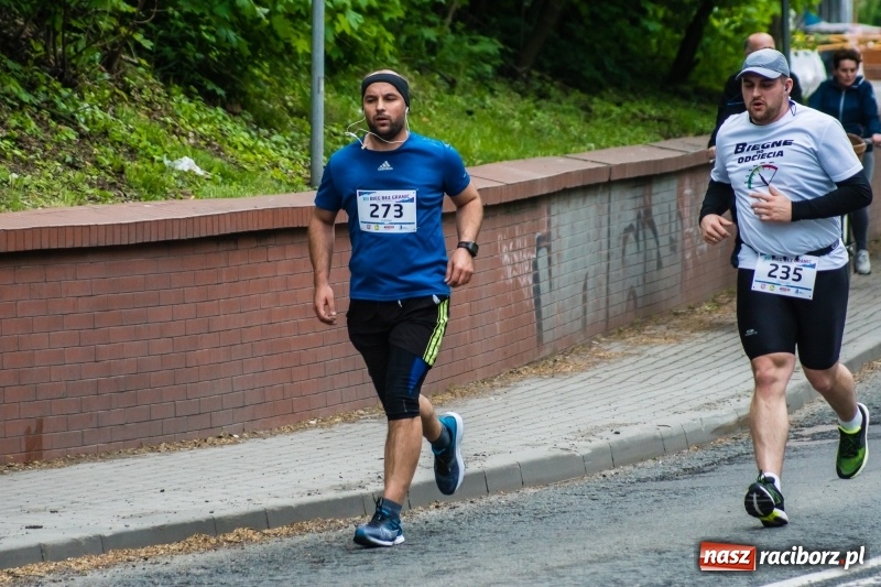 Zdjęcie w galerii na portalu naszraciborz.pl: Raciborski Bieg bez Granic [FOTO i WIDEO]  wiadomości z regionu