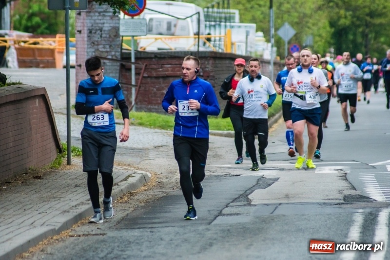 Zdjęcie w galerii na portalu naszraciborz.pl: Raciborski Bieg bez Granic [FOTO i WIDEO]  wiadomości z regionu
