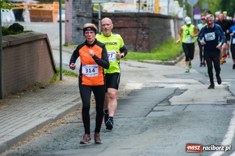 Zdjęcie w galerii na portalu naszraciborz.pl: Raciborski Bieg bez Granic [FOTO i WIDEO]  wiadomości z regionu