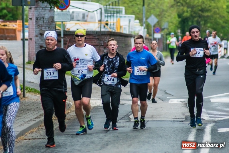 Zdjęcie w galerii na portalu naszraciborz.pl: Raciborski Bieg bez Granic [FOTO i WIDEO]  wiadomości z regionu