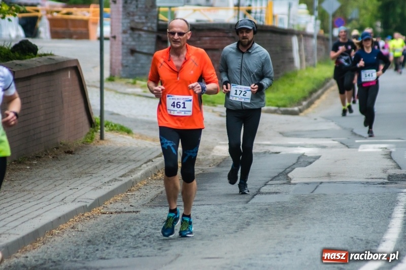 Zdjęcie w galerii na portalu naszraciborz.pl: Raciborski Bieg bez Granic [FOTO i WIDEO]  wiadomości z regionu