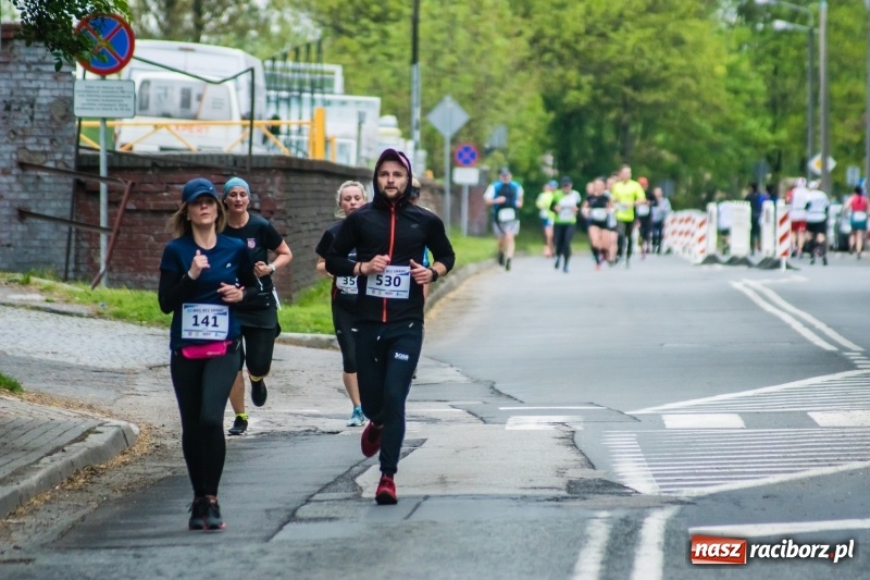 Zdjęcie w galerii na portalu naszraciborz.pl: Raciborski Bieg bez Granic [FOTO i WIDEO]  wiadomości z regionu