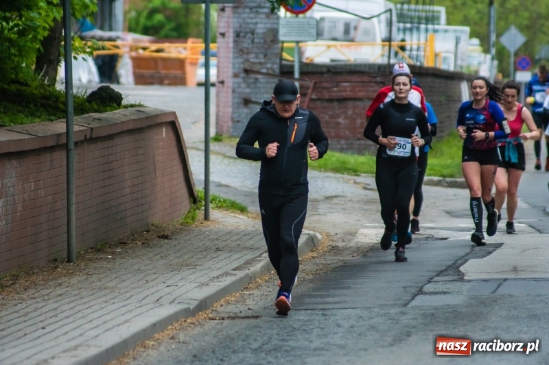 Zdjęcie w galerii na portalu naszraciborz.pl: Raciborski Bieg bez Granic [FOTO i WIDEO]  wiadomości z regionu