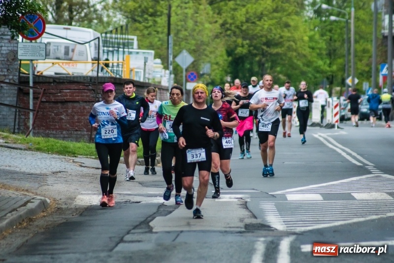 Zdjęcie w galerii na portalu naszraciborz.pl: Raciborski Bieg bez Granic [FOTO i WIDEO]  wiadomości z regionu