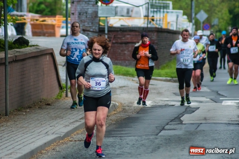 Zdjęcie w galerii na portalu naszraciborz.pl: Raciborski Bieg bez Granic [FOTO i WIDEO]  wiadomości z regionu