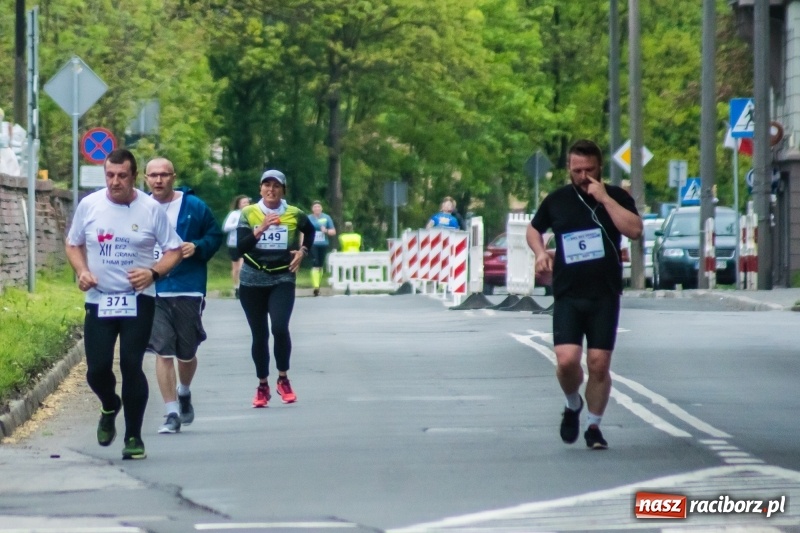 Zdjęcie w galerii na portalu naszraciborz.pl: Raciborski Bieg bez Granic [FOTO i WIDEO]  wiadomości z regionu