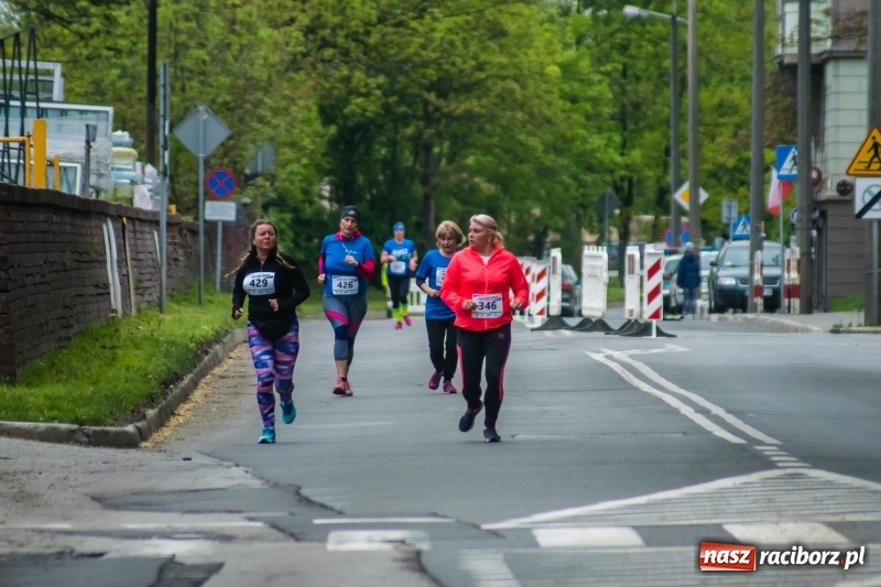 Zdjęcie w galerii na portalu naszraciborz.pl: Raciborski Bieg bez Granic [FOTO i WIDEO]  wiadomości z regionu