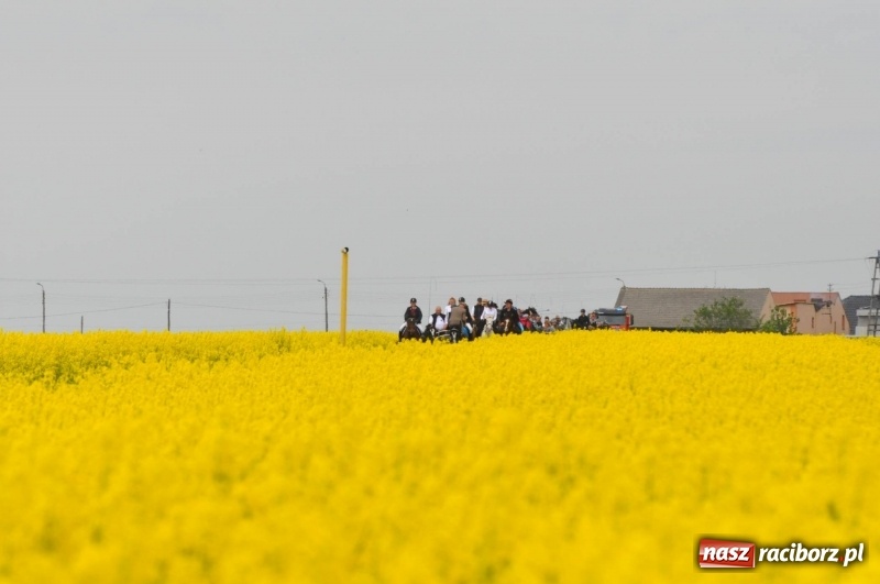 Zdjęcie w galerii na portalu naszraciborz.pl: Wiosenny korowód konny w gminie Pietrowice Wielkie [FOTO i WIDEO] wiadomości z regionu
