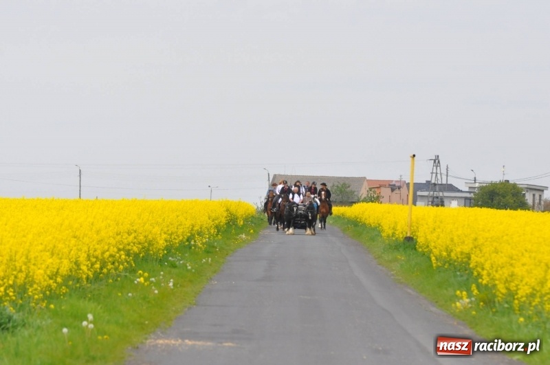 Zdjęcie w galerii na portalu naszraciborz.pl: Wiosenny korowód konny w gminie Pietrowice Wielkie [FOTO i WIDEO] wiadomości z regionu