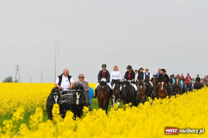 Zdjęcie w galerii na portalu naszraciborz.pl: Wiosenny korowód konny w gminie Pietrowice Wielkie [FOTO i WIDEO] wiadomości z regionu