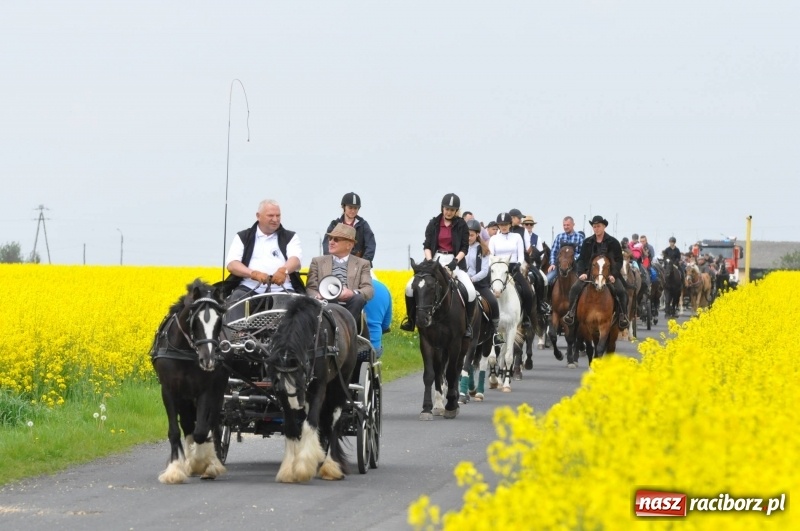 Zdjęcie w galerii na portalu naszraciborz.pl: Wiosenny korowód konny w gminie Pietrowice Wielkie [FOTO i WIDEO] wiadomości z regionu