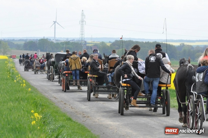 Zdjęcie w galerii na portalu naszraciborz.pl: Wiosenny korowód konny w gminie Pietrowice Wielkie [FOTO i WIDEO] wiadomości z regionu