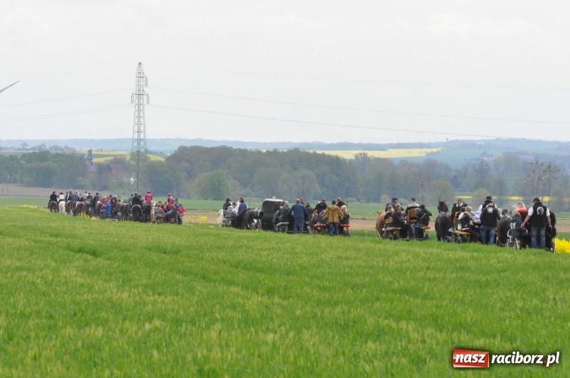 Zdjęcie w galerii na portalu naszraciborz.pl: Wiosenny korowód konny w gminie Pietrowice Wielkie [FOTO i WIDEO] wiadomości z regionu