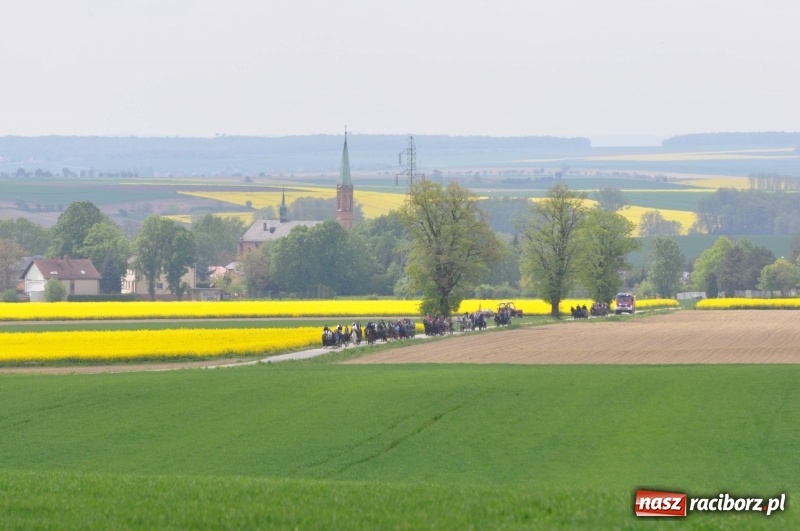 Zdjęcie w galerii na portalu naszraciborz.pl: Wiosenny korowód konny w gminie Pietrowice Wielkie [FOTO i WIDEO] wiadomości z regionu