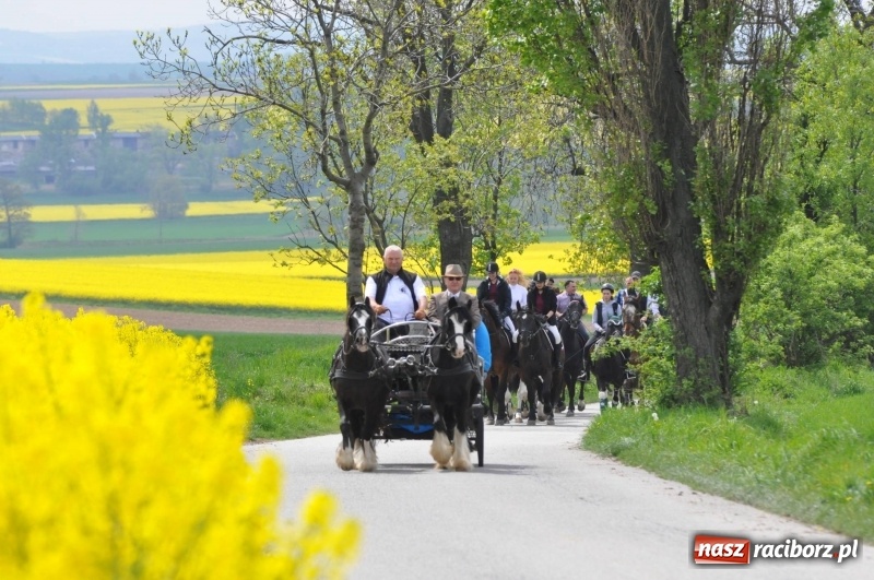 Zdjęcie w galerii na portalu naszraciborz.pl: Wiosenny korowód konny w gminie Pietrowice Wielkie [FOTO i WIDEO] wiadomości z regionu