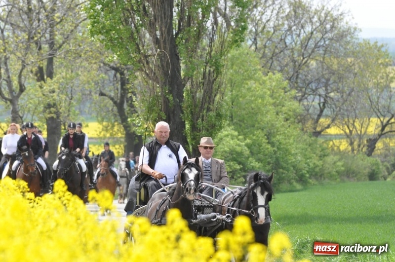 Zdjęcie w galerii na portalu naszraciborz.pl: Wiosenny korowód konny w gminie Pietrowice Wielkie [FOTO i WIDEO] wiadomości z regionu