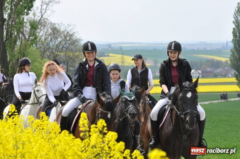 Zdjęcie w galerii na portalu naszraciborz.pl: Wiosenny korowód konny w gminie Pietrowice Wielkie [FOTO i WIDEO] wiadomości z regionu