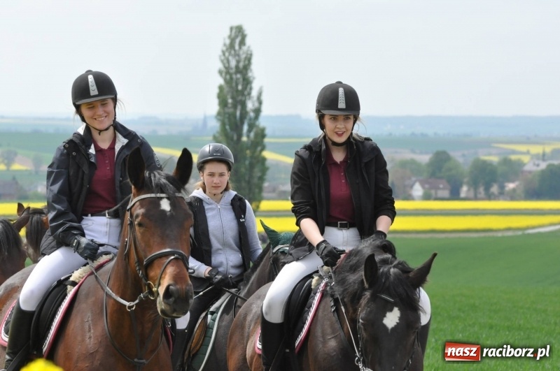 Zdjęcie w galerii na portalu naszraciborz.pl: Wiosenny korowód konny w gminie Pietrowice Wielkie [FOTO i WIDEO] wiadomości z regionu