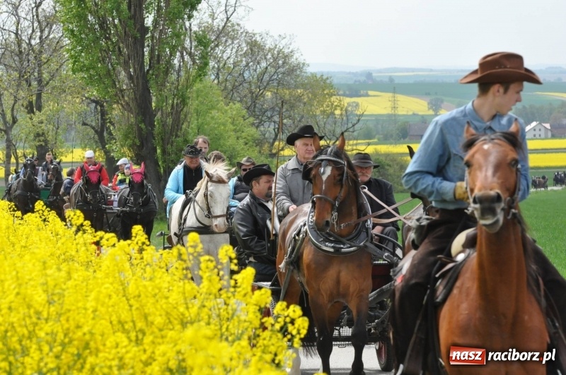 Zdjęcie w galerii na portalu naszraciborz.pl: Wiosenny korowód konny w gminie Pietrowice Wielkie [FOTO i WIDEO] wiadomości z regionu