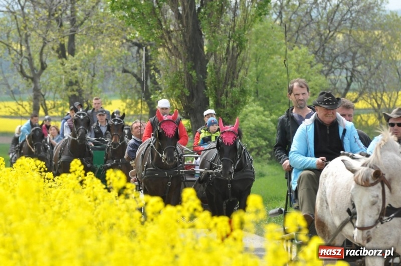 Zdjęcie w galerii na portalu naszraciborz.pl: Wiosenny korowód konny w gminie Pietrowice Wielkie [FOTO i WIDEO] wiadomości z regionu