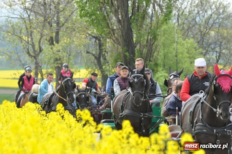 Zdjęcie w galerii na portalu naszraciborz.pl: Wiosenny korowód konny w gminie Pietrowice Wielkie [FOTO i WIDEO] wiadomości z regionu