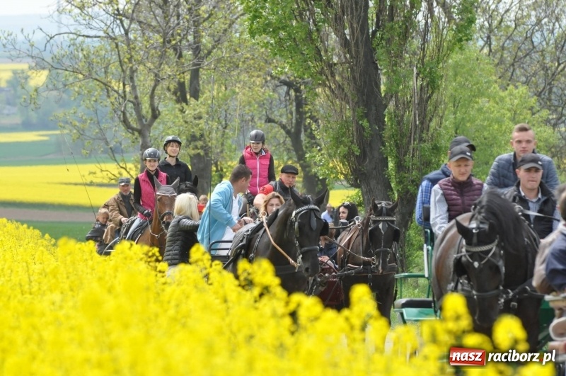 Zdjęcie w galerii na portalu naszraciborz.pl: Wiosenny korowód konny w gminie Pietrowice Wielkie [FOTO i WIDEO] wiadomości z regionu