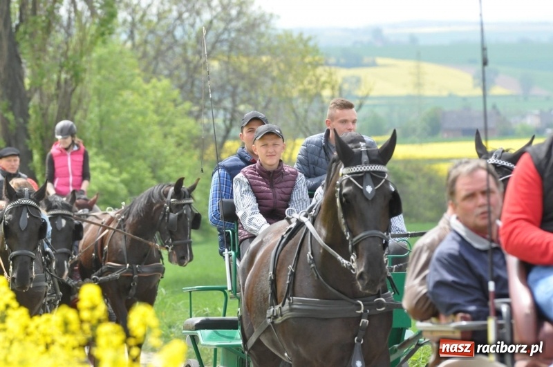Zdjęcie w galerii na portalu naszraciborz.pl: Wiosenny korowód konny w gminie Pietrowice Wielkie [FOTO i WIDEO] wiadomości z regionu