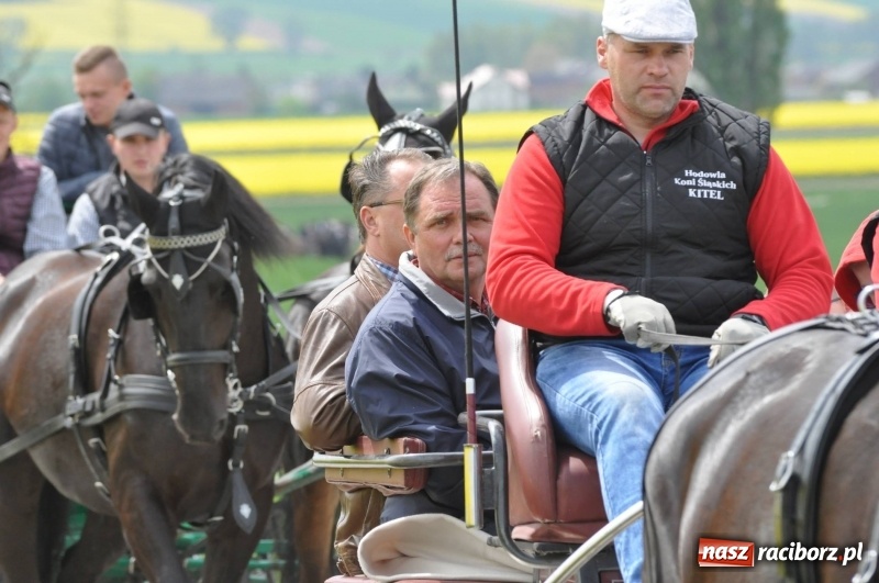 Zdjęcie w galerii na portalu naszraciborz.pl: Wiosenny korowód konny w gminie Pietrowice Wielkie [FOTO i WIDEO] wiadomości z regionu