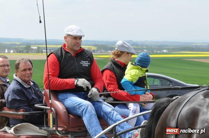Zdjęcie w galerii na portalu naszraciborz.pl: Wiosenny korowód konny w gminie Pietrowice Wielkie [FOTO i WIDEO] wiadomości z regionu