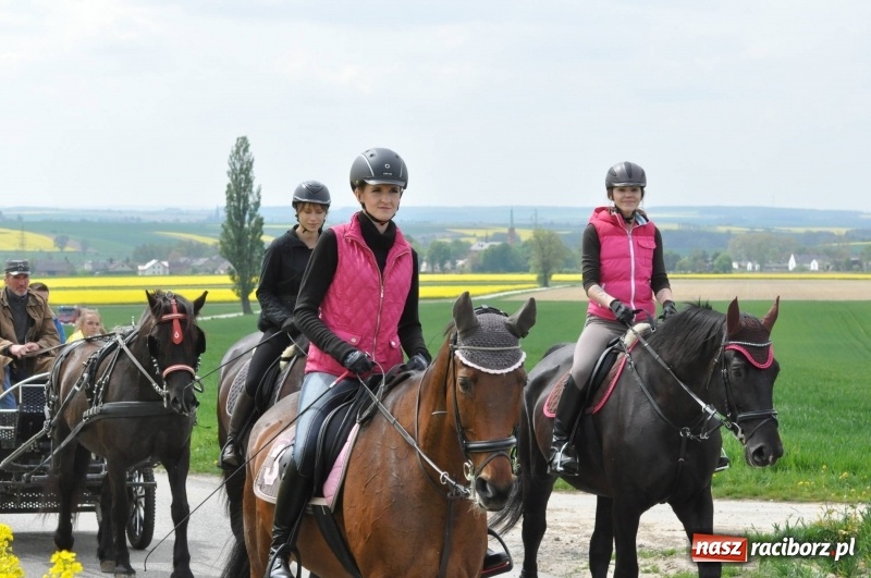 Zdjęcie w galerii na portalu naszraciborz.pl: Wiosenny korowód konny w gminie Pietrowice Wielkie [FOTO i WIDEO] wiadomości z regionu