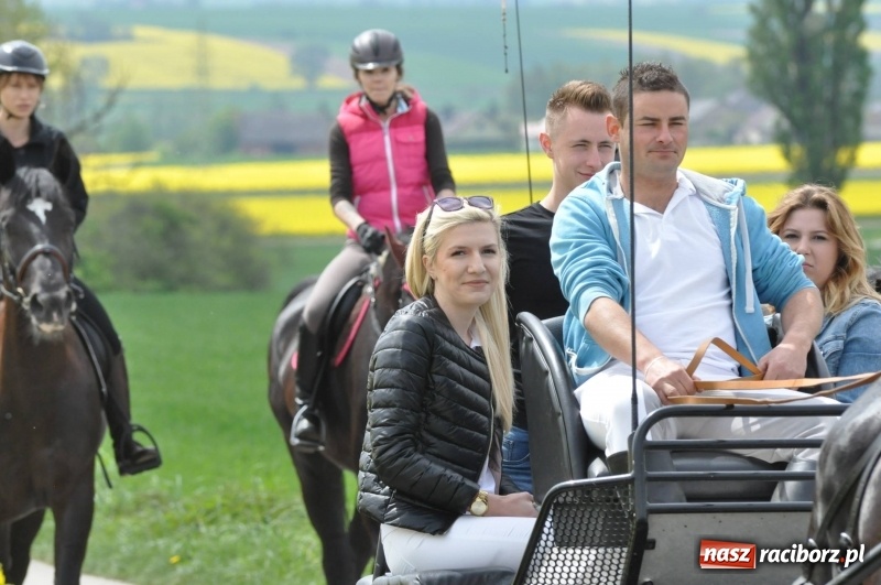 Zdjęcie w galerii na portalu naszraciborz.pl: Wiosenny korowód konny w gminie Pietrowice Wielkie [FOTO i WIDEO] wiadomości z regionu