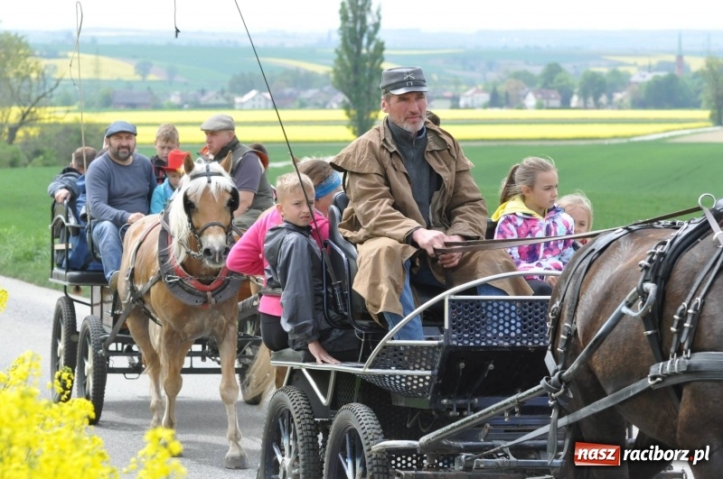 Zdjęcie w galerii na portalu naszraciborz.pl: Wiosenny korowód konny w gminie Pietrowice Wielkie [FOTO i WIDEO] wiadomości z regionu