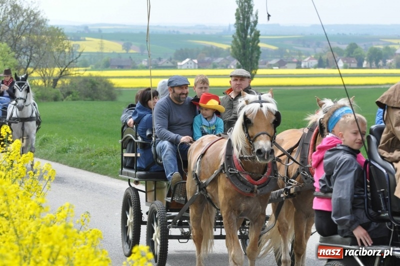 Zdjęcie w galerii na portalu naszraciborz.pl: Wiosenny korowód konny w gminie Pietrowice Wielkie [FOTO i WIDEO] wiadomości z regionu