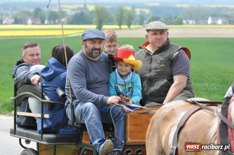 Zdjęcie w galerii na portalu naszraciborz.pl: Wiosenny korowód konny w gminie Pietrowice Wielkie [FOTO i WIDEO] wiadomości z regionu