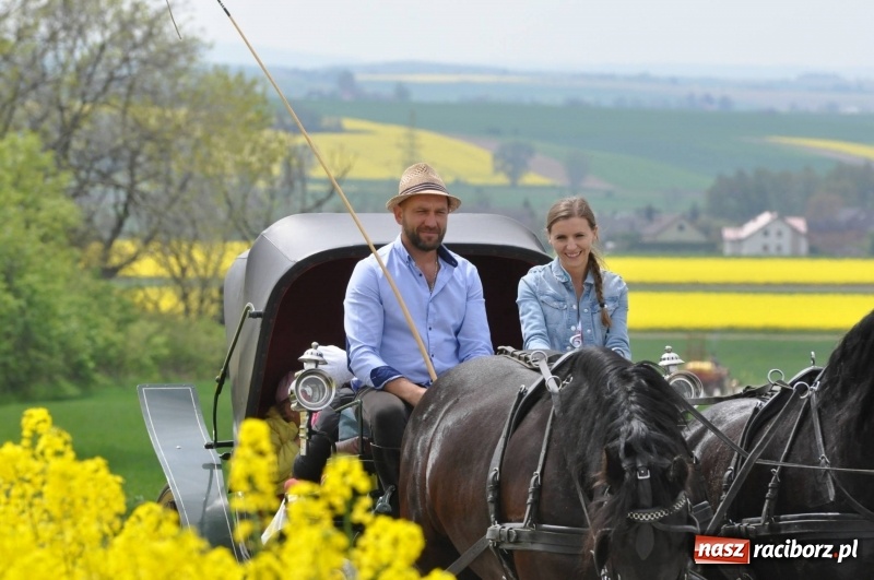Zdjęcie w galerii na portalu naszraciborz.pl: Wiosenny korowód konny w gminie Pietrowice Wielkie [FOTO i WIDEO] wiadomości z regionu